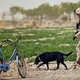 Illustration for article titled The 7 Most Badass Photos CENTCOM Has Pinned on Pinterest